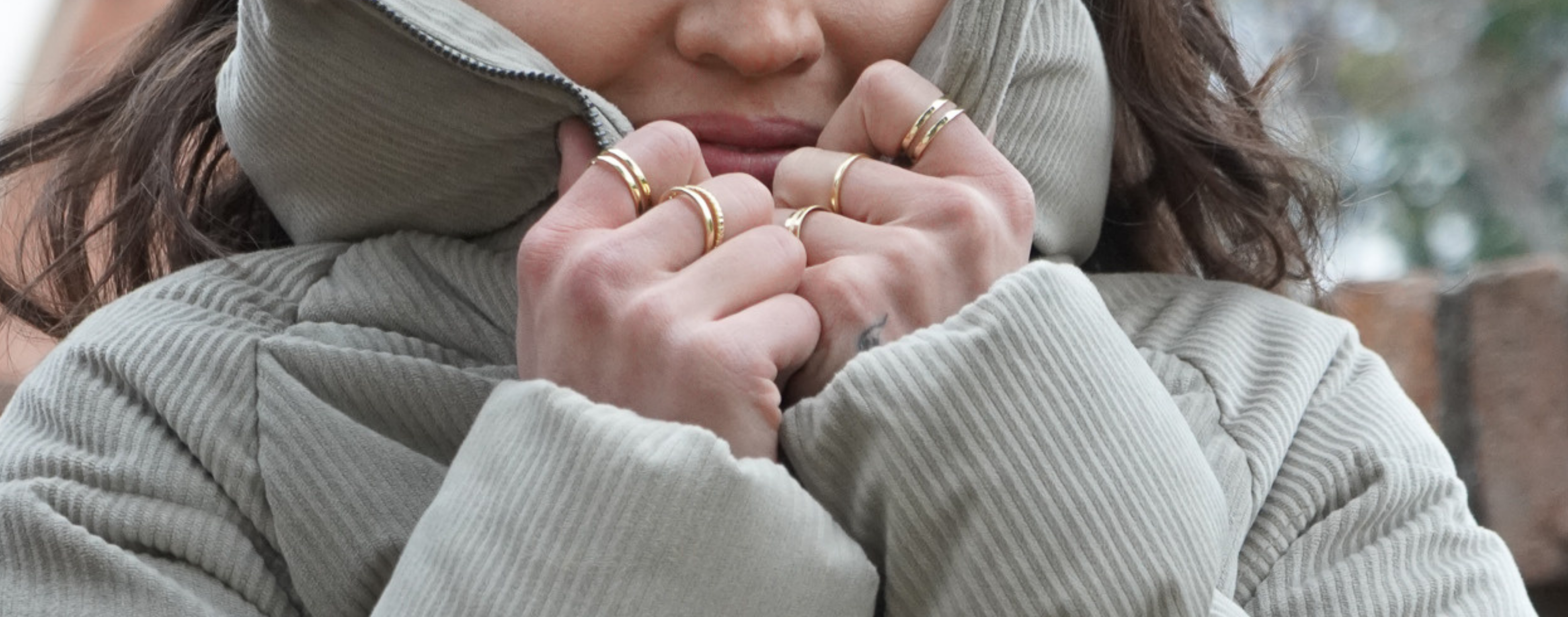 Anillos