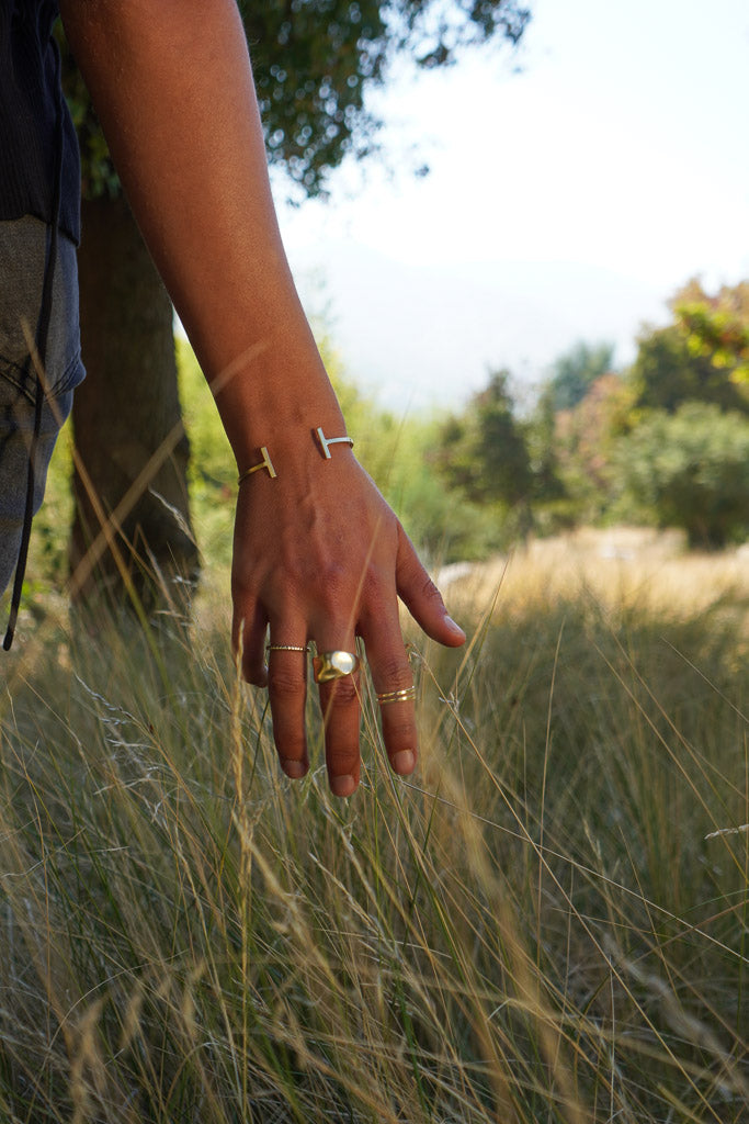 Imagen de diapositiva