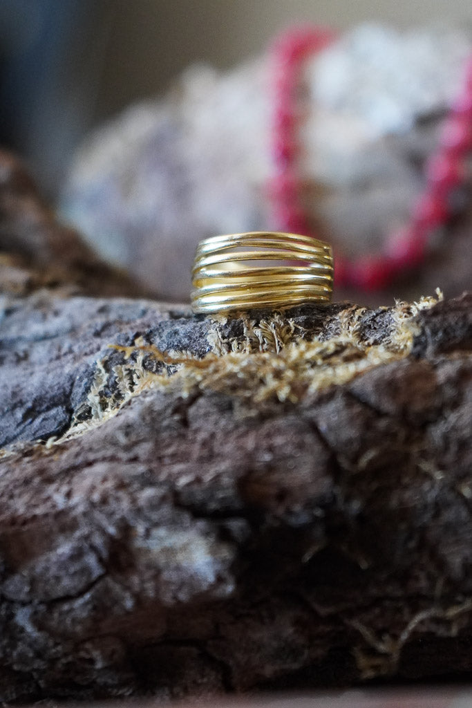 Imagen de diapositiva