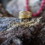 Imagen de diapositiva