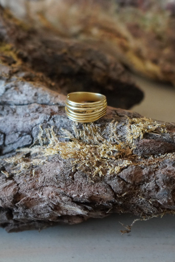 Imagen de diapositiva