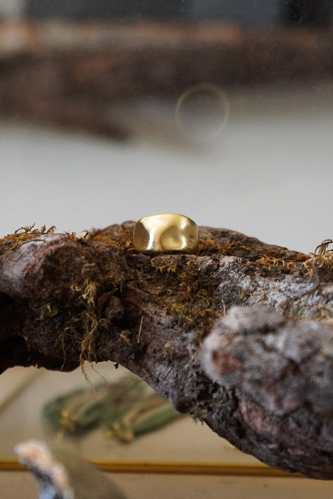 Imagen de diapositiva