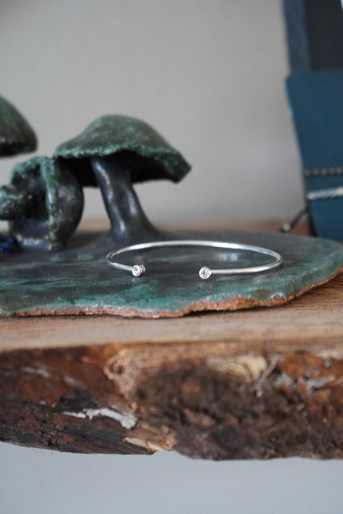 Imagen de diapositiva