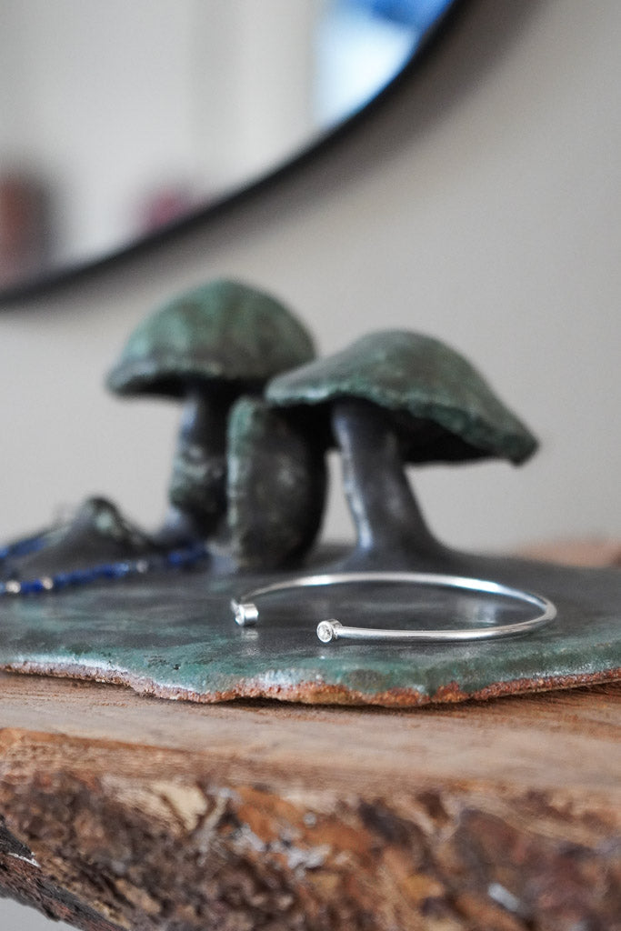 Imagen de diapositiva