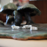 AROS ARGOLLAS CIRCONES BORDES ENCHAPE PLATA MATE