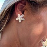 AROS FLOR PILAR ENCHAPE PLATA