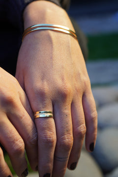 Imagen de diapositiva