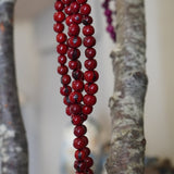 COLLAR SEMILLAS ROJO